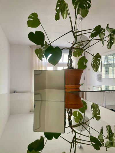 SOMETHING tim kast mirror 4