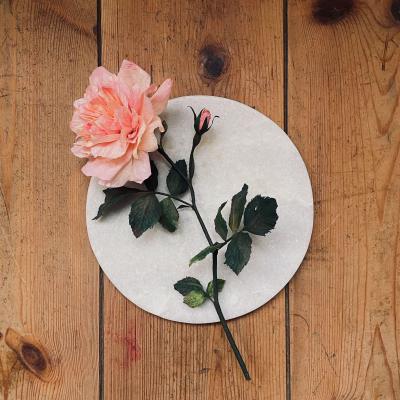 SOMETHING valerie paper botanical paeonia 2 kopie