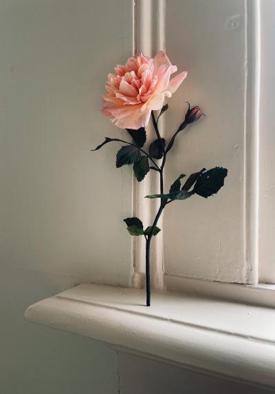 SOMETHING valerie paper botanical paeonia 4 kopie