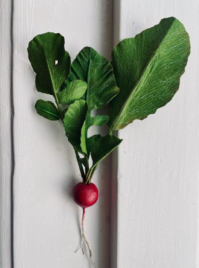 SOMETHING valerie paper botanical raphanus sativus 4 kopie
