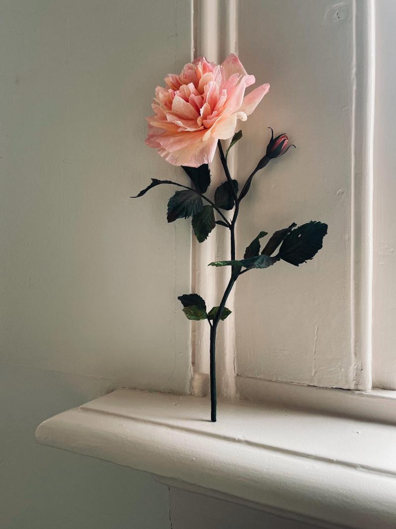 SOMETHING valerie paper botanical paeonia 4 kopie