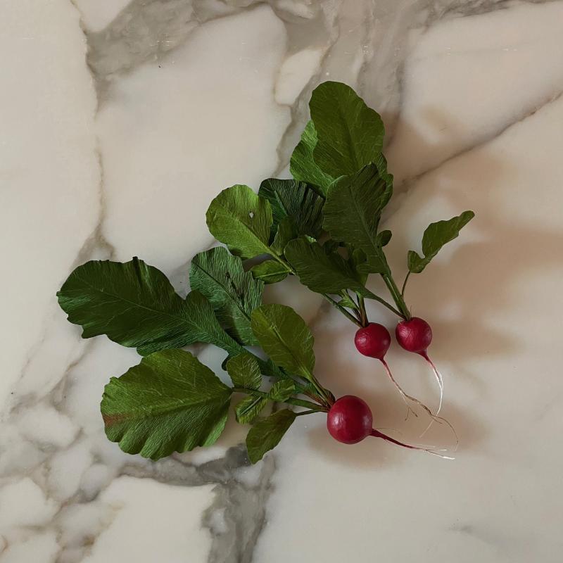 SOMETHING valerie paper botanical raphanus sativus 1 kopie